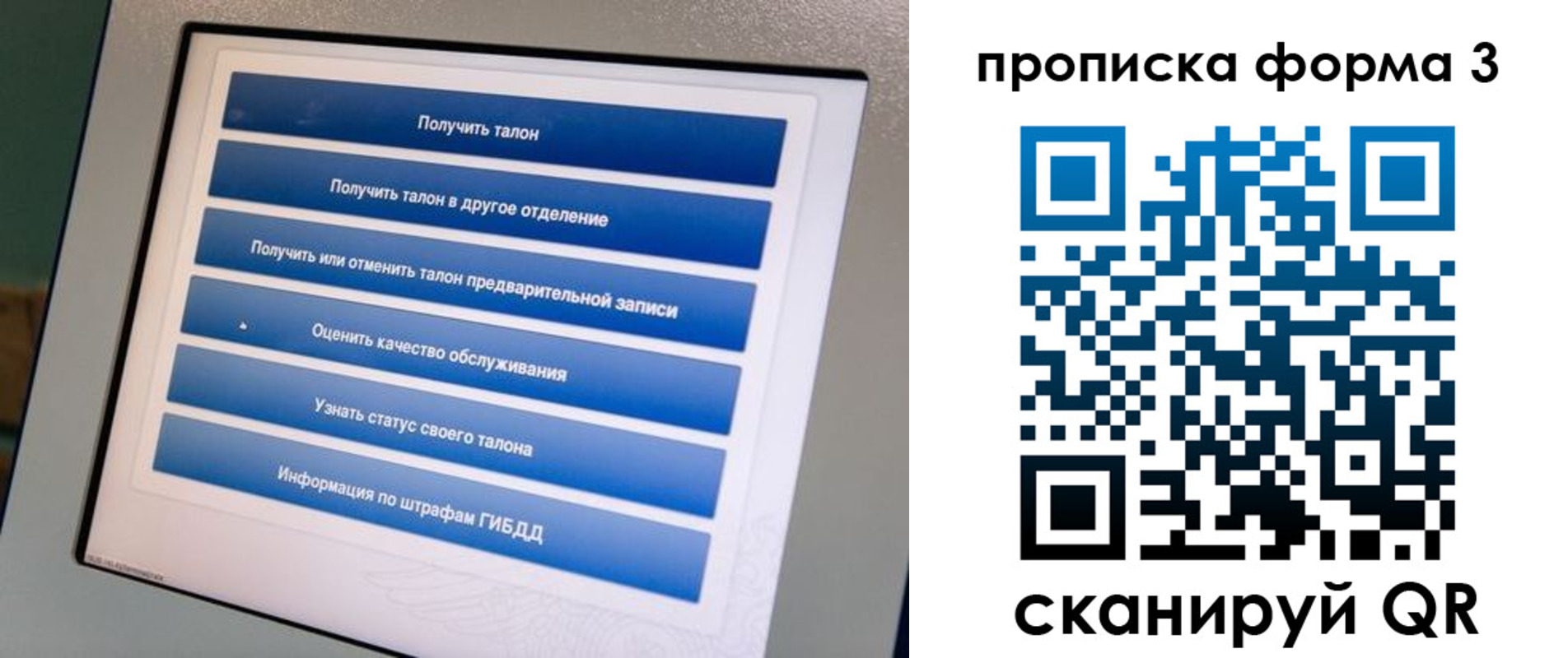прописка в квартире в Рославле